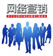 網(wǎng)絡營銷策劃工作