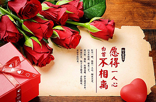 節(jié)日快樂