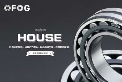 德國OFOG軸承品牌網站案例