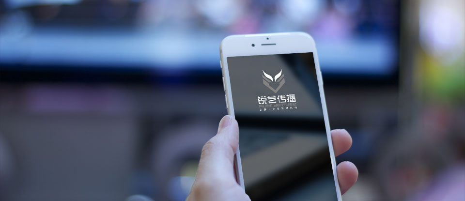 手 機(jī) 網(wǎng) 站 建 設(shè)