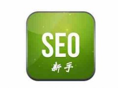 希望能夠幫助SEO新手們走出誤區(qū)_佛山網(wǎng)絡(luò)推廣,佛山seo優(yōu)化